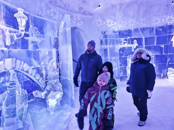 Kirkenes- and Borderland Sightseeing & Visit Snowhotel Dec-April - private tour (HPW02-pt)