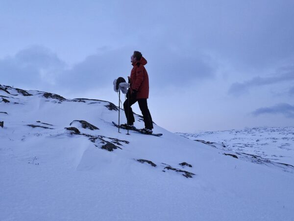 Snow shoe tours Kirkenes with private guide (KI92-pt) - Image 3