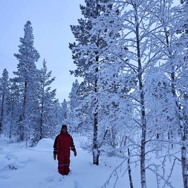 Pasvik sightseeing and tour to visitor centre Øvre Pasvik Nationalpark December - April (HW03-pt) - Image 6