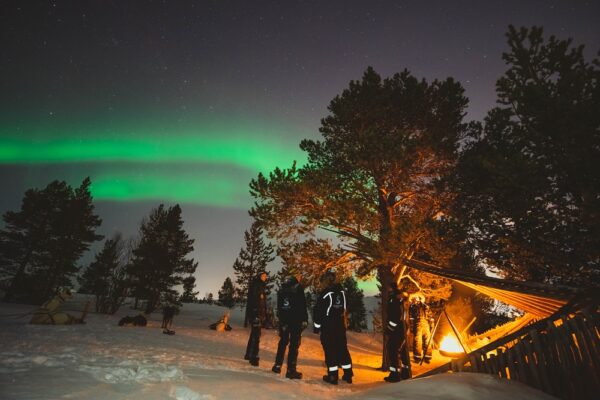 Kirkenes Husky evening tour and Northern light hunt (KI50N-sh) - Image 8