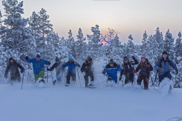 Snow shoes