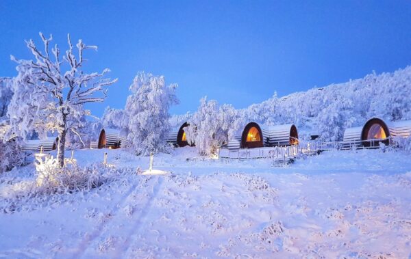 Kirkenes- and Borderland Sightseeing & Visit Snowhotel Dec-April - private tour (HPW02-pt) - Bilde 8