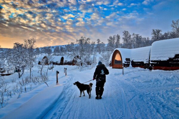 Catch the lights in the Borderland Kirkenes - with 3 overnight stays, Dec - March (KP02) - Image 19