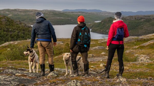 Husky mountain hike (KS41-sh)