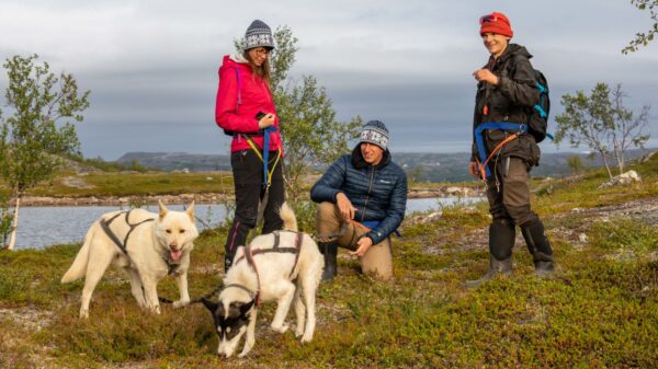 Husky mountain hike (KS41-sh) - Image 6