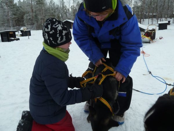 Boy and a husky