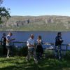 Fjord in summer
