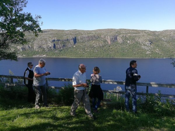 Fjord in summer