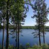 Pasvik
