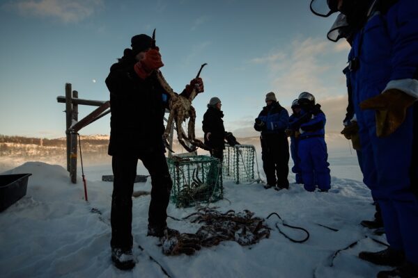 Kirkenes winter highlights in one day, Dec - April (KP00) - Image 17