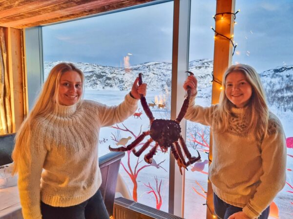 Kirkenes winter highlights in one day, Dec - April (KP00) - Image 18