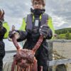 King Crab package with 1 overnight stay at cabin, May - Nov (PS02) - Bilde 10