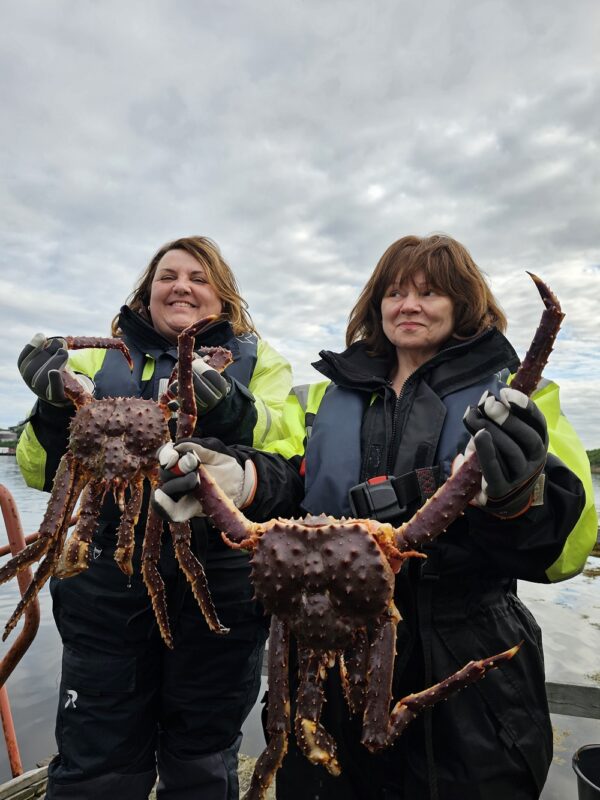 King Crab Safari by RIB boat including meal (KS40-sh) - Bilde 13