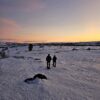 Northern light hunt on snowshoes with private guide (KI92N-pt) - Bilde 10