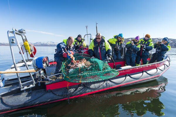 King Crab Safari by RIB boat including meal (KS40-sh) - Bilde 5