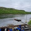 Sami experience, reindeers and the King crab (PS04) - Bilde 15