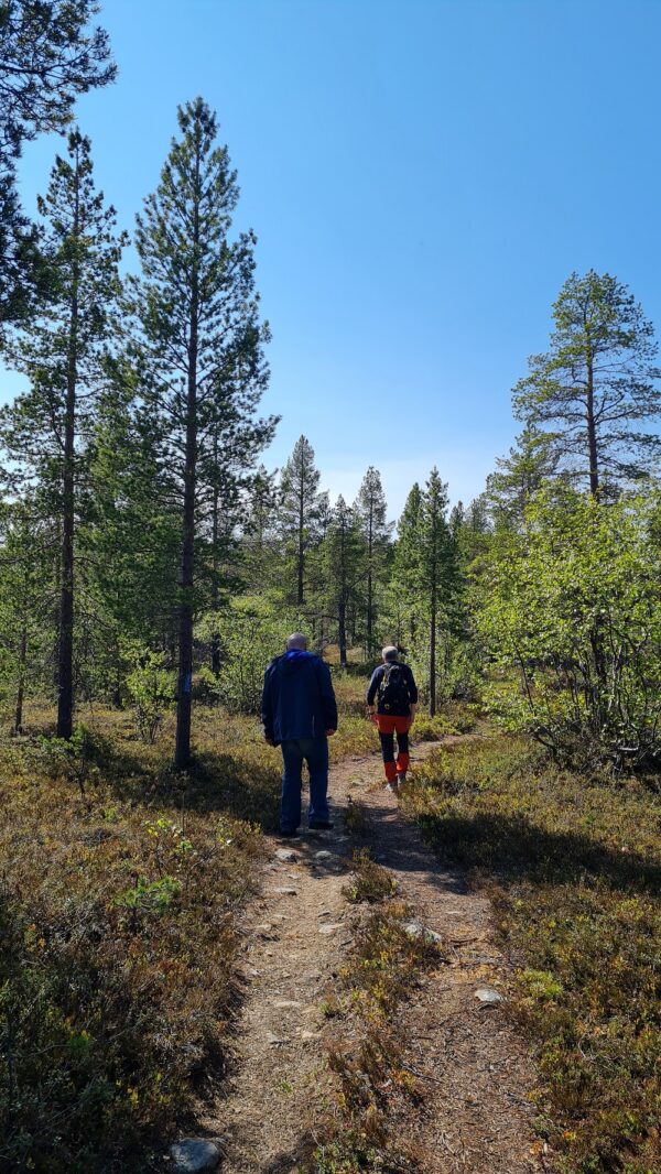 Hiking tour to 3-border point in Øvre Pasvik Nationalpark (KS20-pt) - Image 12