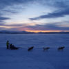 Husky tour in the evening