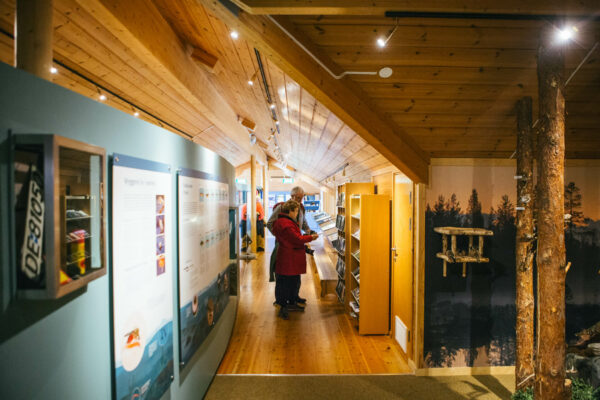 Catch the lights in the Borderland Kirkenes - with 3 overnight stays, Dec - March (KP02) - Image 17