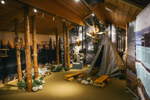 Catch the lights in the Borderland Kirkenes - with 3 overnight stays, Dec - March (KP02) - Image 16
