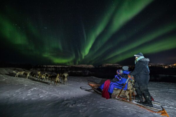 Kirkenes Husky evening tour and Northern light hunt (KI50N-sh) - Image 5