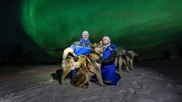 Kirkenes Husky evening tour and Northern light hunt (KI50N-sh) - Image 4