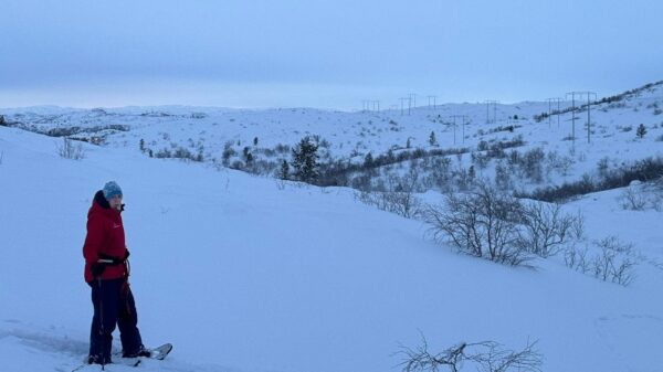 Snow shoe tours Kirkenes with private guide (KI92-pt) - Image 16