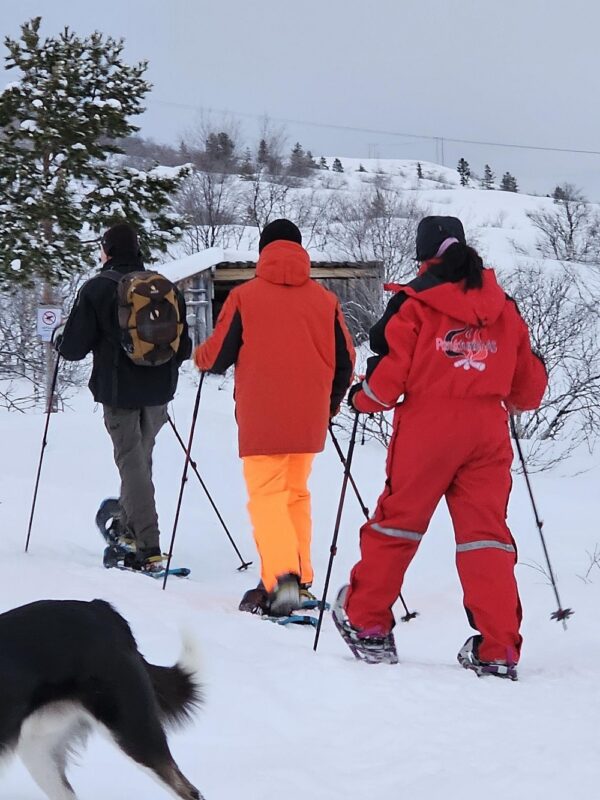 Snow shoe tours Kirkenes with private guide (KI92-pt) - Image 18