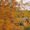 Snowhotel cottage in autumn