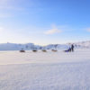 Husky sledge