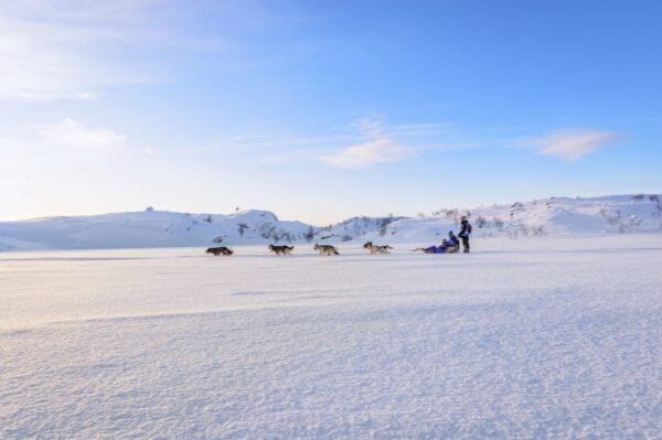 Husky sledge