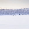 Husky sledge