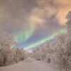 Hunt the Northern lights in the Borderland - private tour (KI30-pt) - Bilde 13