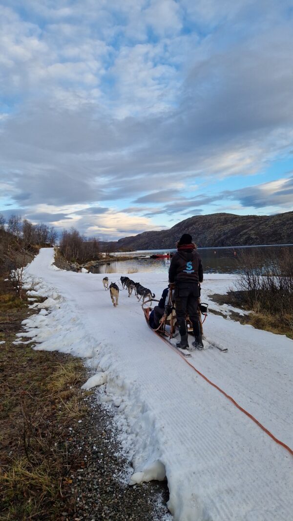 Husky experience Kirkenes - Early bird (KI49E) - Image 7