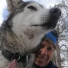 Husky experience Kirkenes - Early bird (KI49E) - Image 3