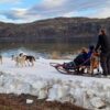 Husky experience Kirkenes - Early bird (KI49E) - Image 9