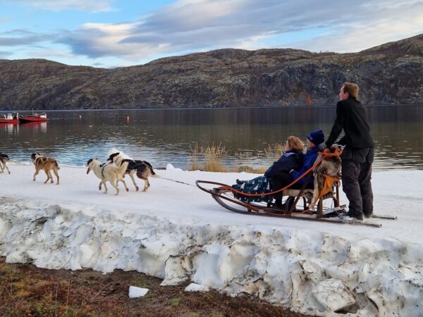 Husky experience Kirkenes - Early bird (KI49E) - Image 9