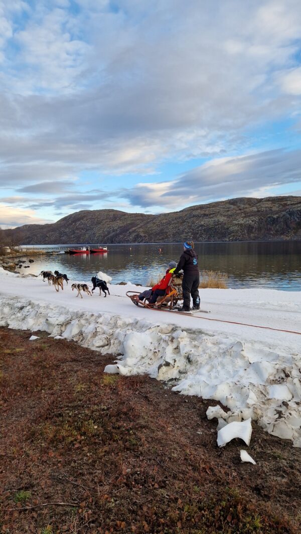 Husky experience Kirkenes - Early bird (KI49E)
