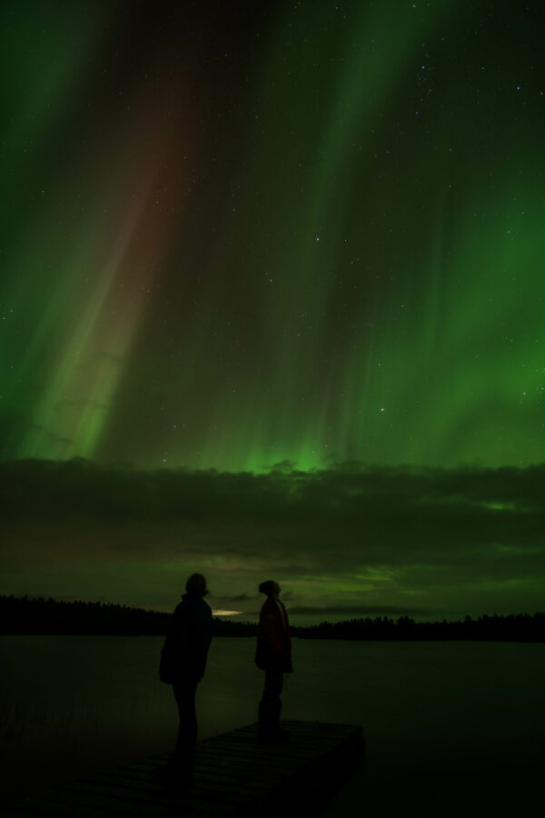 Private tours Winter from Dec-April (PRW01-pt) - Image 14
