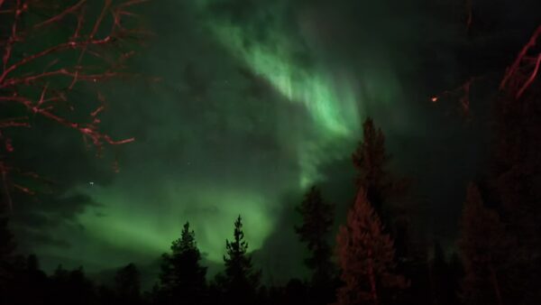 Northern lights hunt by bus - Aurora Express (KI17-sh) - Bilde 6