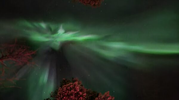 The Northern light package Kirkenes with 2 overnight stays, Dec - March (KP05) - Image 12