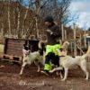 Kirkenes- and Borderland Sightseeing & Visit Snowhotel May-Nov (HS02-pt) - Bilde 2