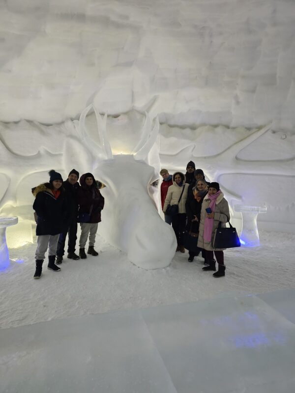 Kirkenes Borderland - The Snowhotel - Sami experience with local guide (GR4E) - Image 19
