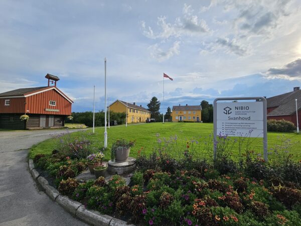 The Northern light autumn package Kirkenes with 1 overnight stay, Sep - Nov (PS03) - Image 23