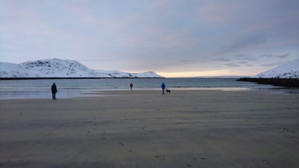 Sami village of Neiden and fishing village Bugøynes with traditional houses, included lunch (GR8) - Image 13