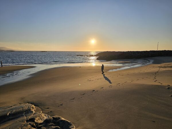 Sightseeing to the beach at the Arctic ocean in Grense Jakobselv and the oldest mountains in Norway (HS05-pt) - Image 8