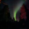 Hunt the Northern lights in the Borderland - private tour (KI30-pt) - Bilde 11