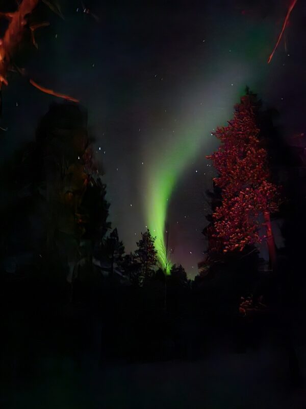 The Northern light autumn package Kirkenes with 1 overnight stay, Sep - Nov (PS03) - Image 22