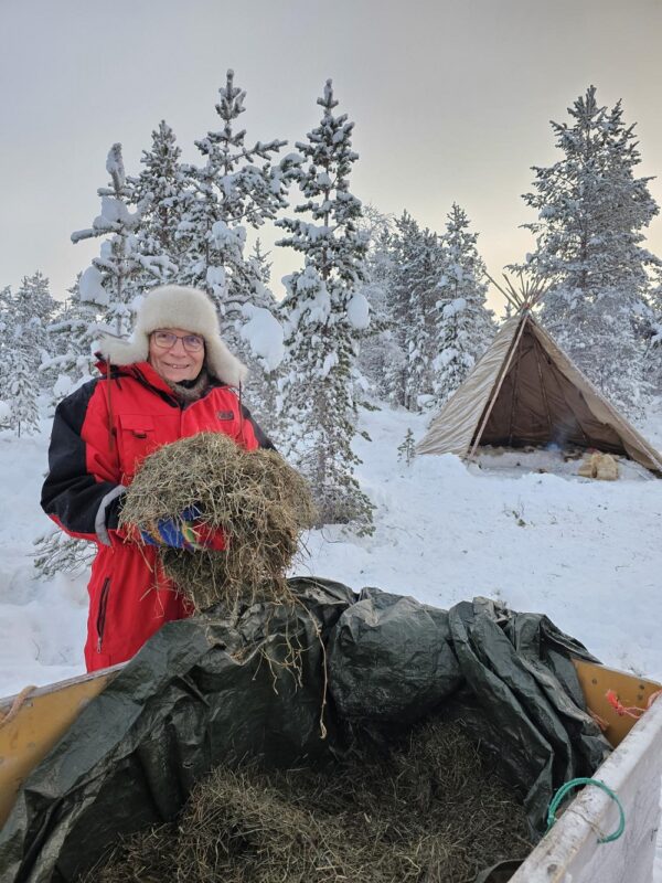 Feed a reindeer with a Sami family (KI20-pt) - Image 22