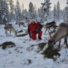 Feed a reindeer and visit a Sami family (GR20 ) – Image 3